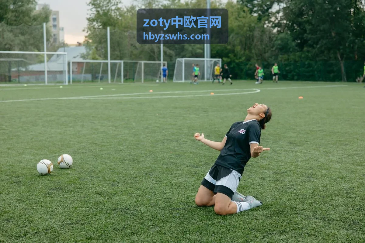 zoty中欧官网中欧跨境运输与欧洲派送网络示意