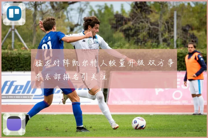 猛龙对阵凯尔特人较量升级 双方争夺东部排名引关注