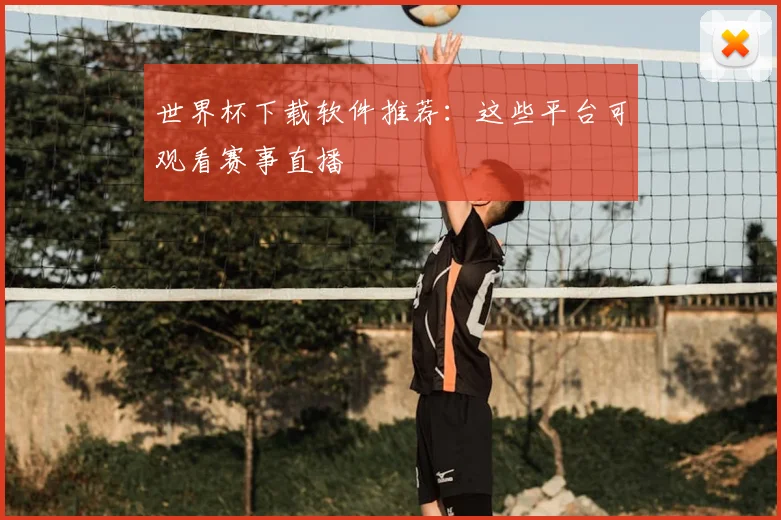 世界杯下载软件推荐：这些平台可观看赛事直播