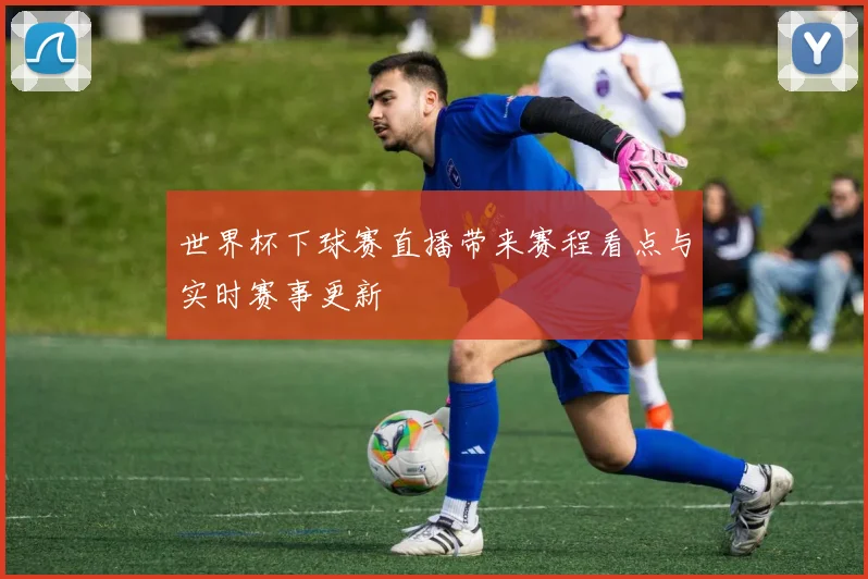 世界杯下球赛直播带来赛程看点与实时赛事更新